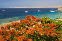 Egypt